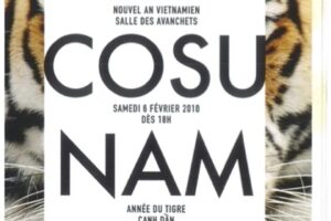 Cosunam TET 2010