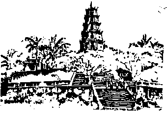 vn12.gif