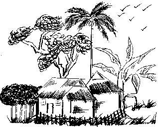 vn13.gif